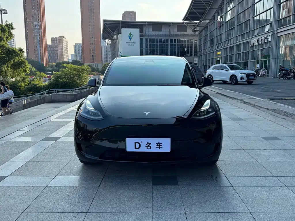 Tesla Model Y — фото 3