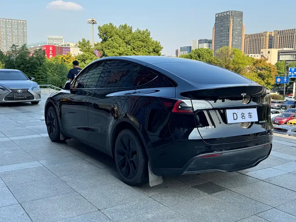 Tesla Model Y — фото 9