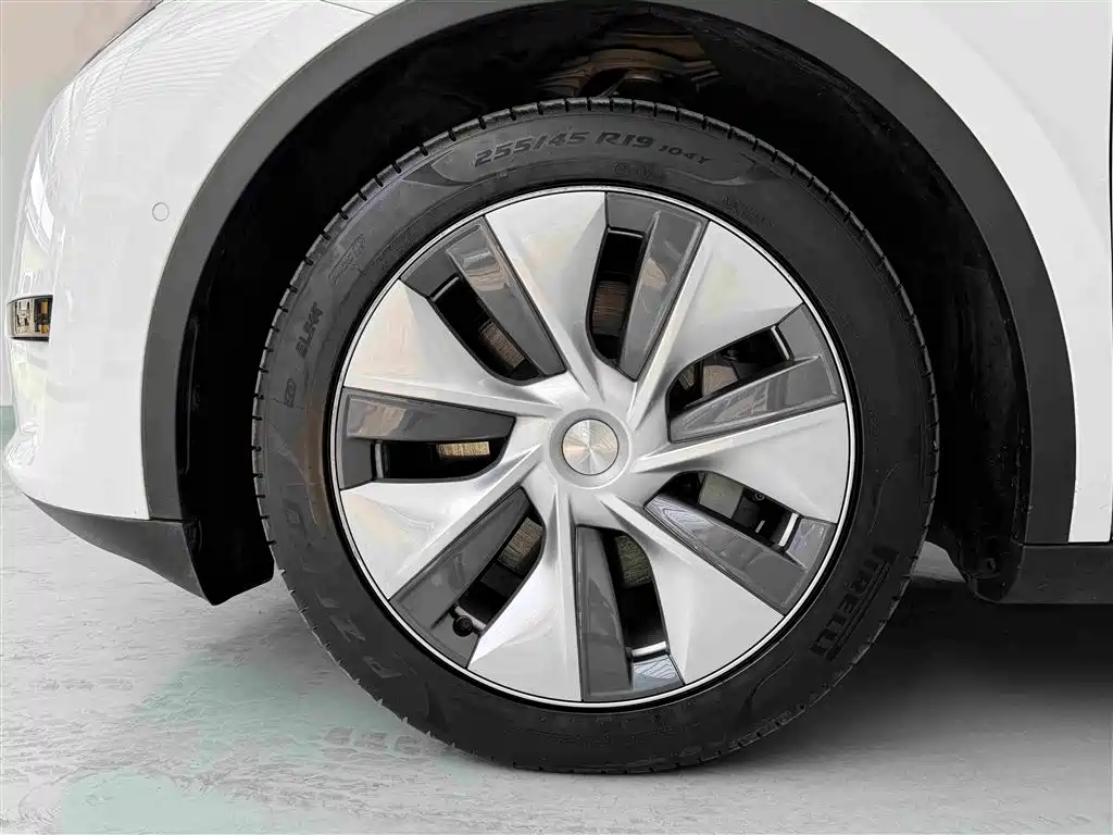 Tesla Model Y — фото 17