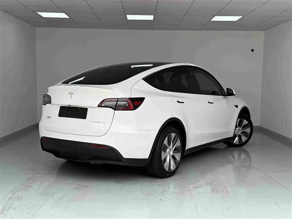 Tesla Model Y — фото 18