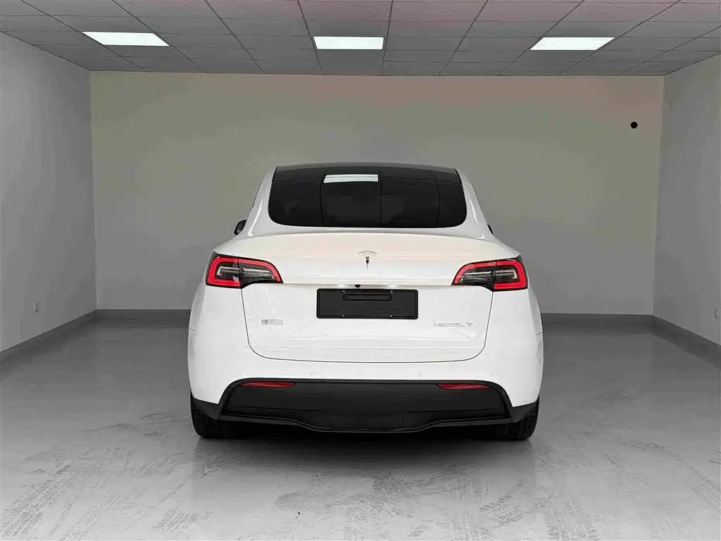 Tesla Model Y — фото 19