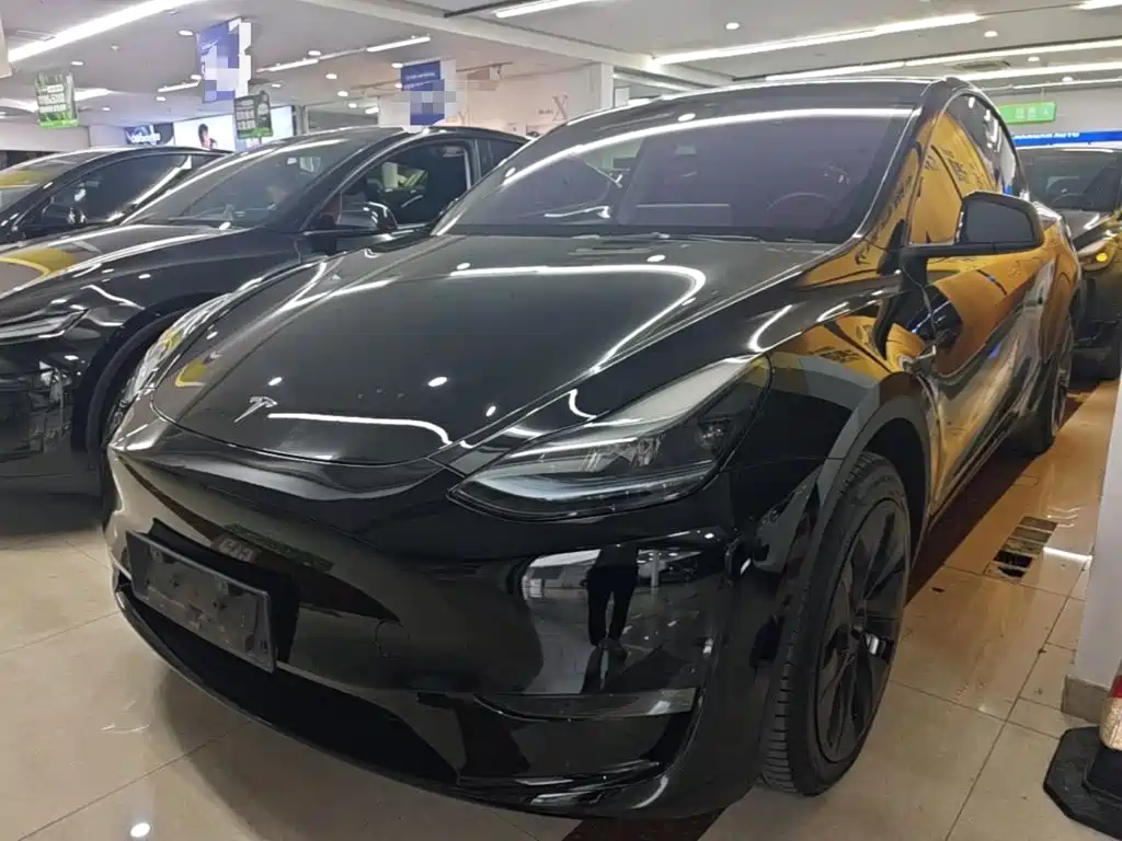 Tesla Model Y — фото 2