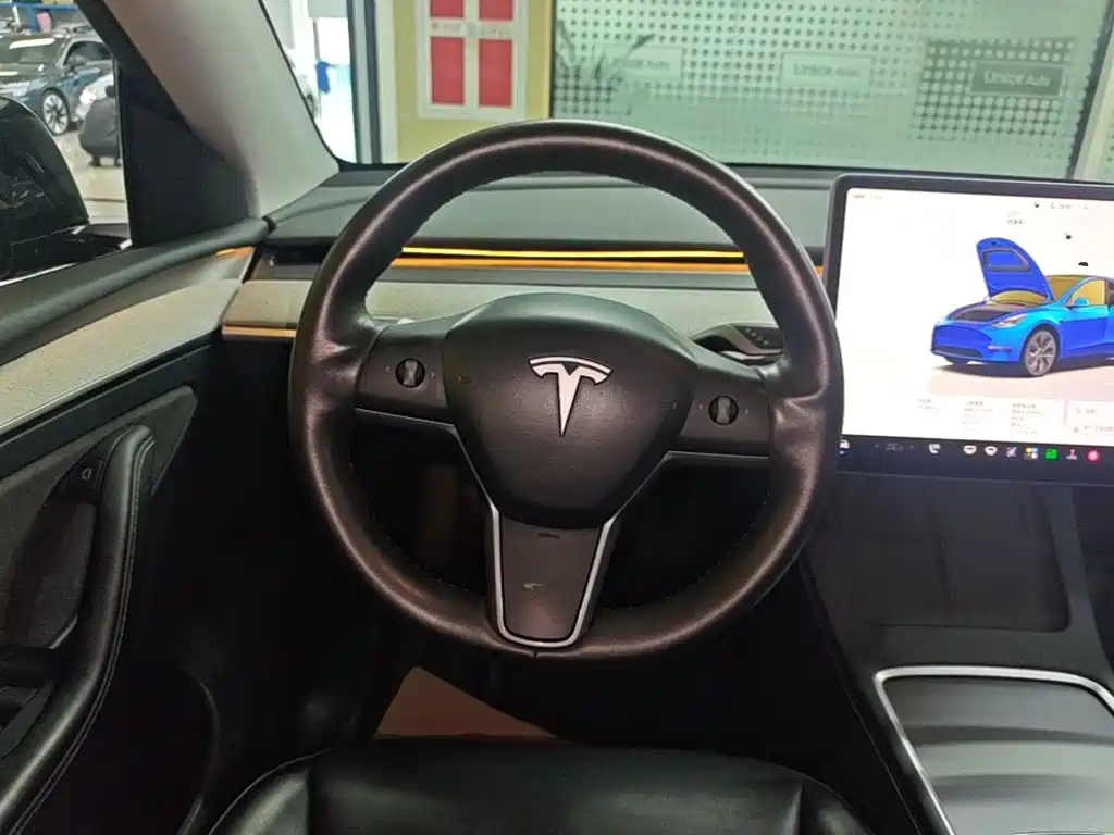 Tesla Model Y — фото 11