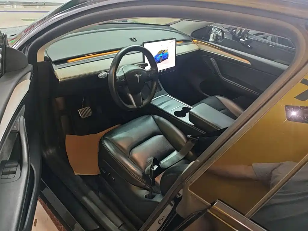 Tesla Model Y — фото 16