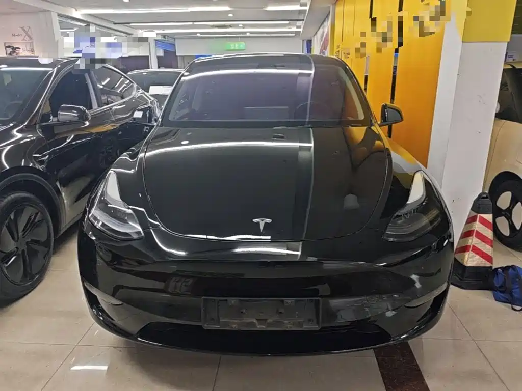 Tesla Model Y — фото 3