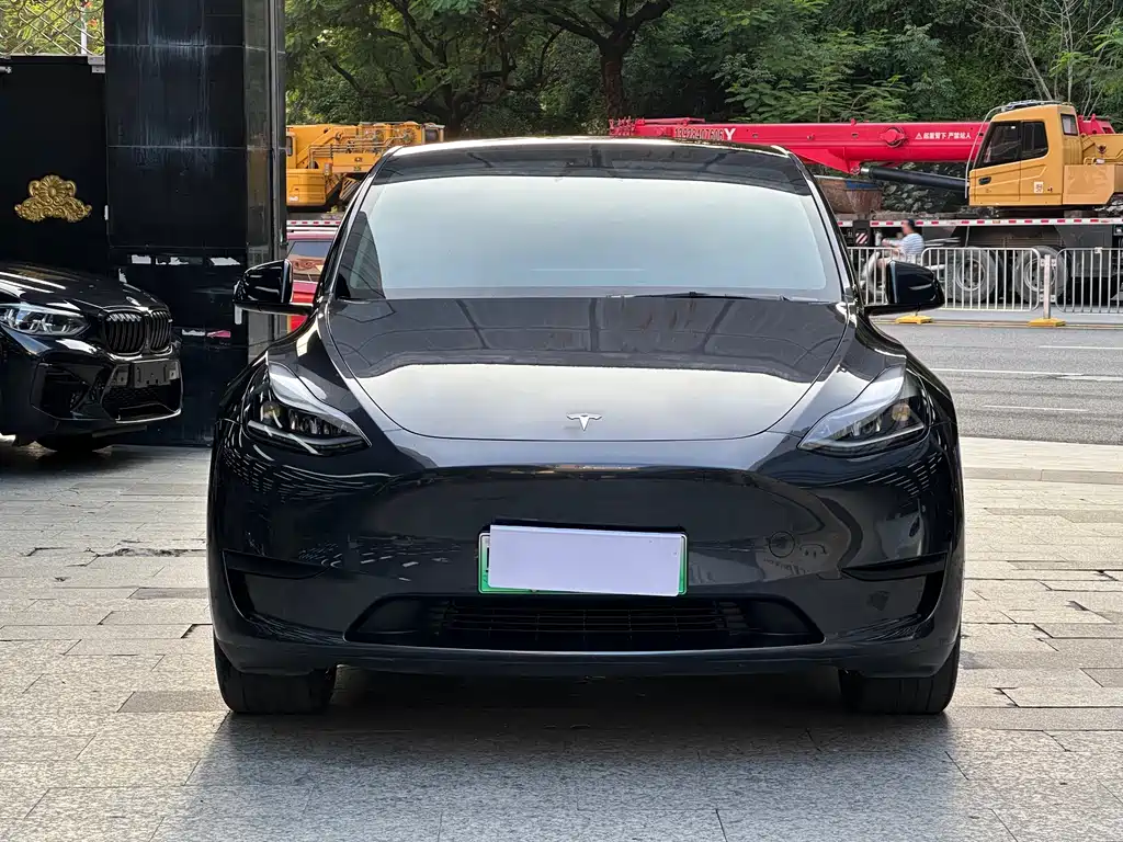 Tesla Model Y — фото 2