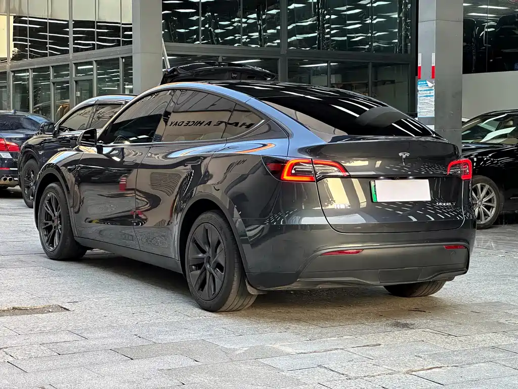 Tesla Model Y — фото 14