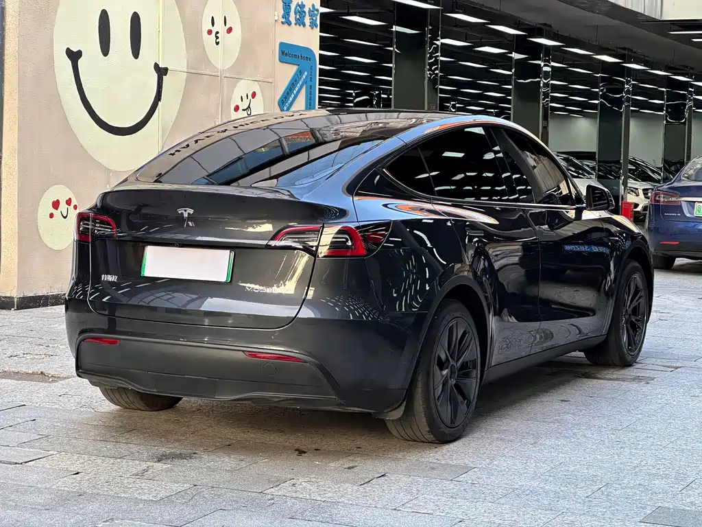 Tesla Model Y — фото 16