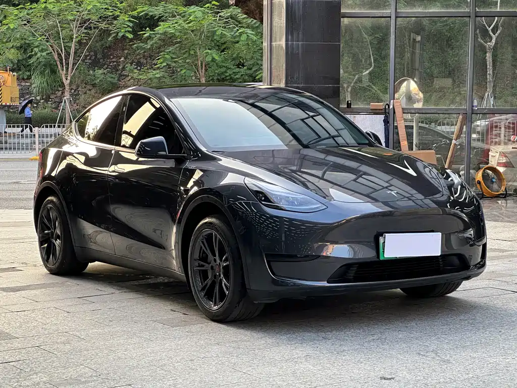 Tesla Model Y — фото 3