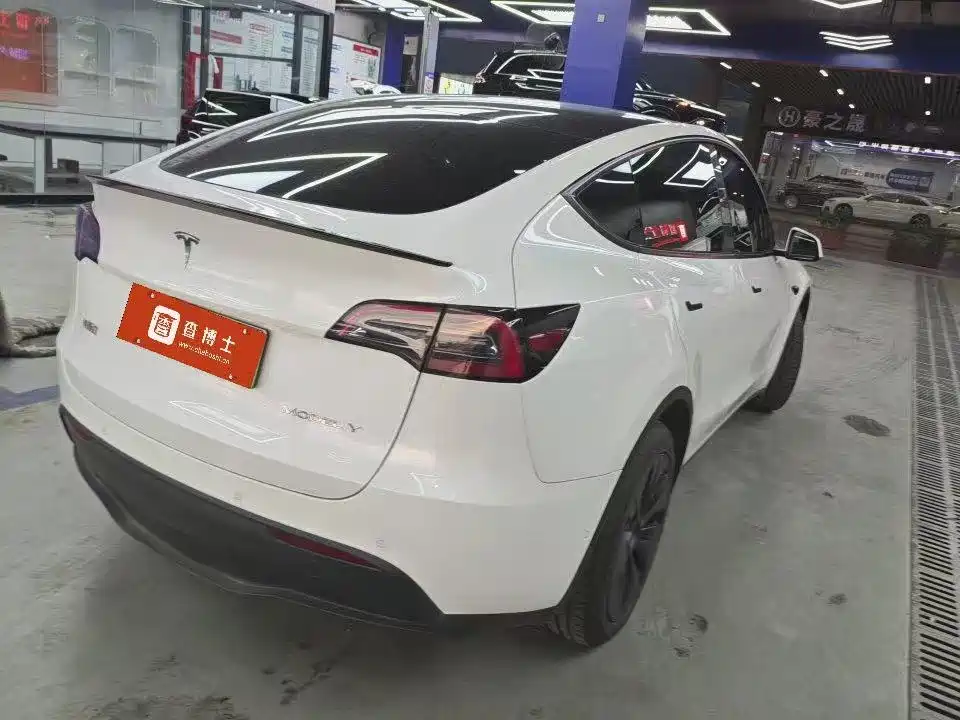 Tesla Model Y — фото 2