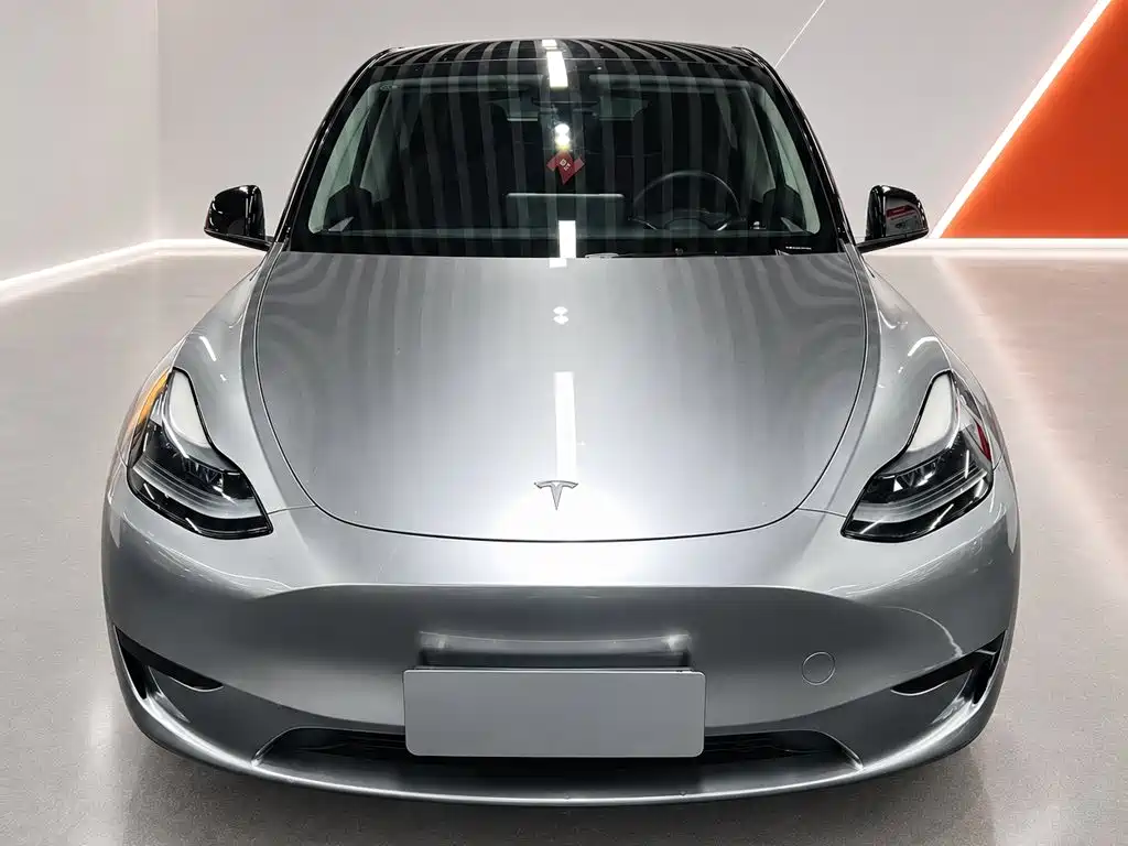 Tesla Model Y — фото 2