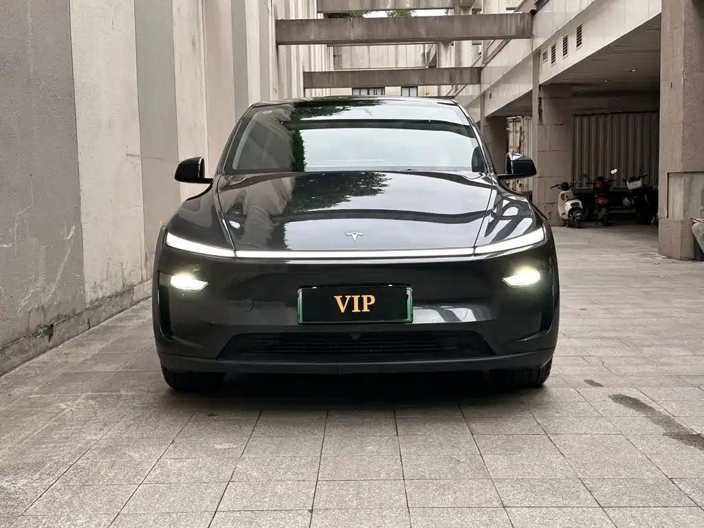 Tesla Model Y — фото 2