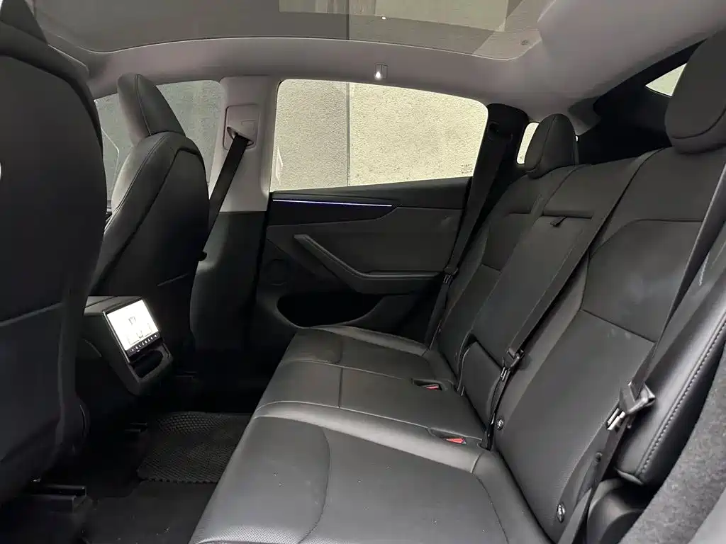 Tesla Model Y — фото 11