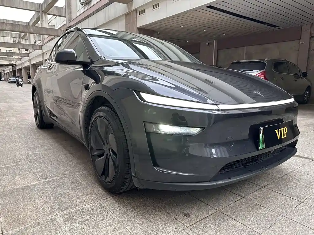 Tesla Model Y — фото 3