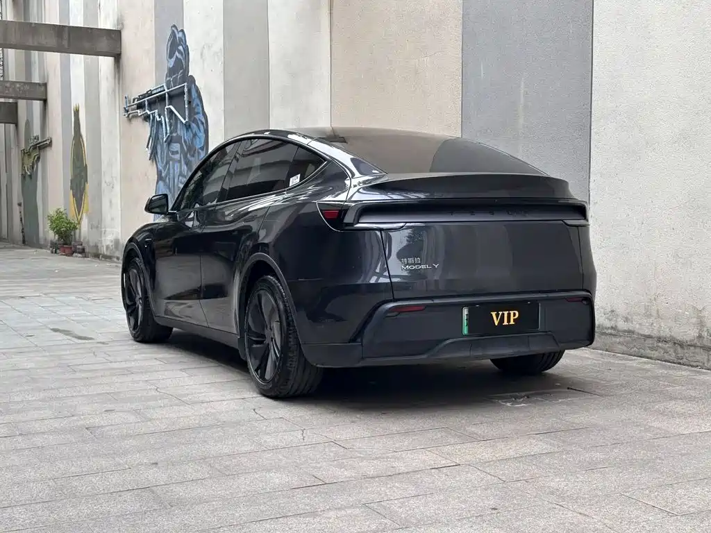 Tesla Model Y — фото 6