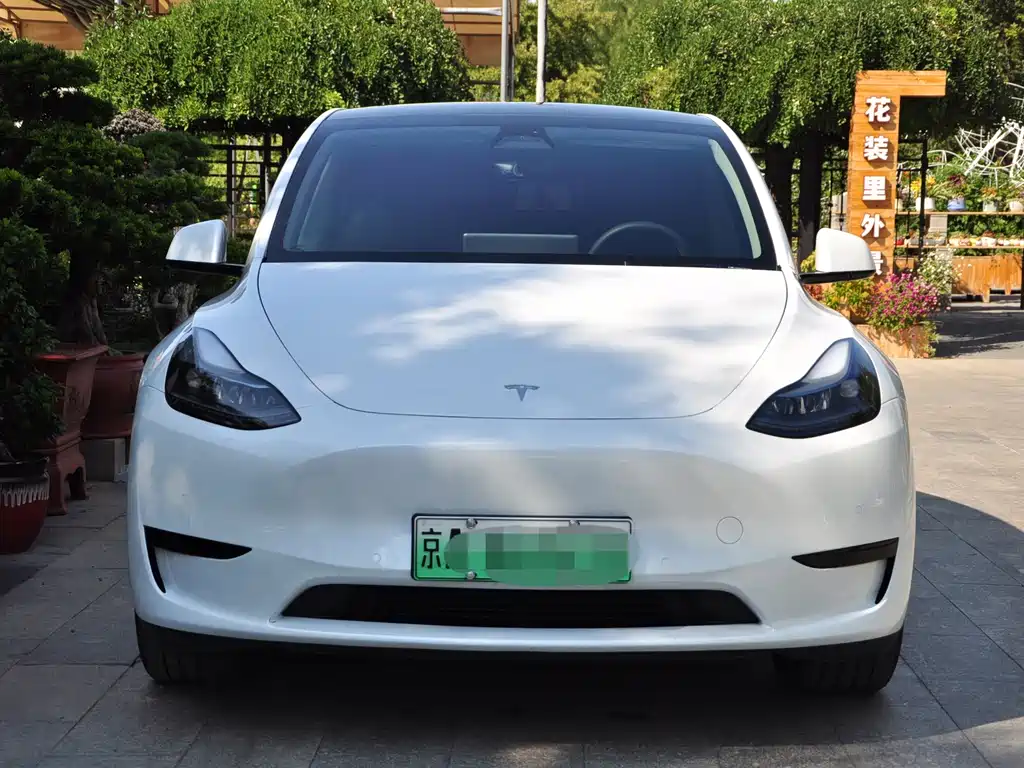 Tesla Model Y — фото 2