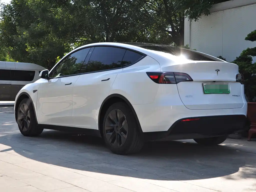 Tesla Model Y — фото 3