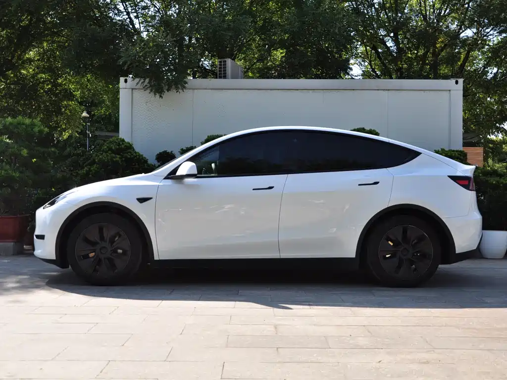 Tesla Model Y — фото 5