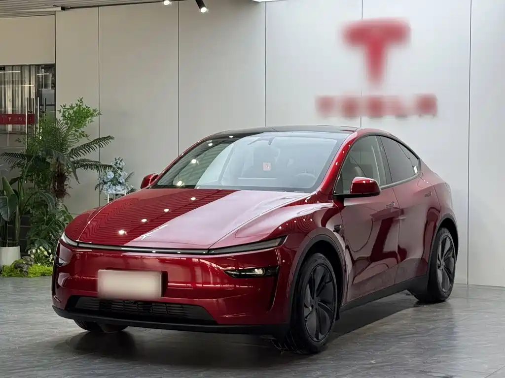 Tesla Model Y — фото 2