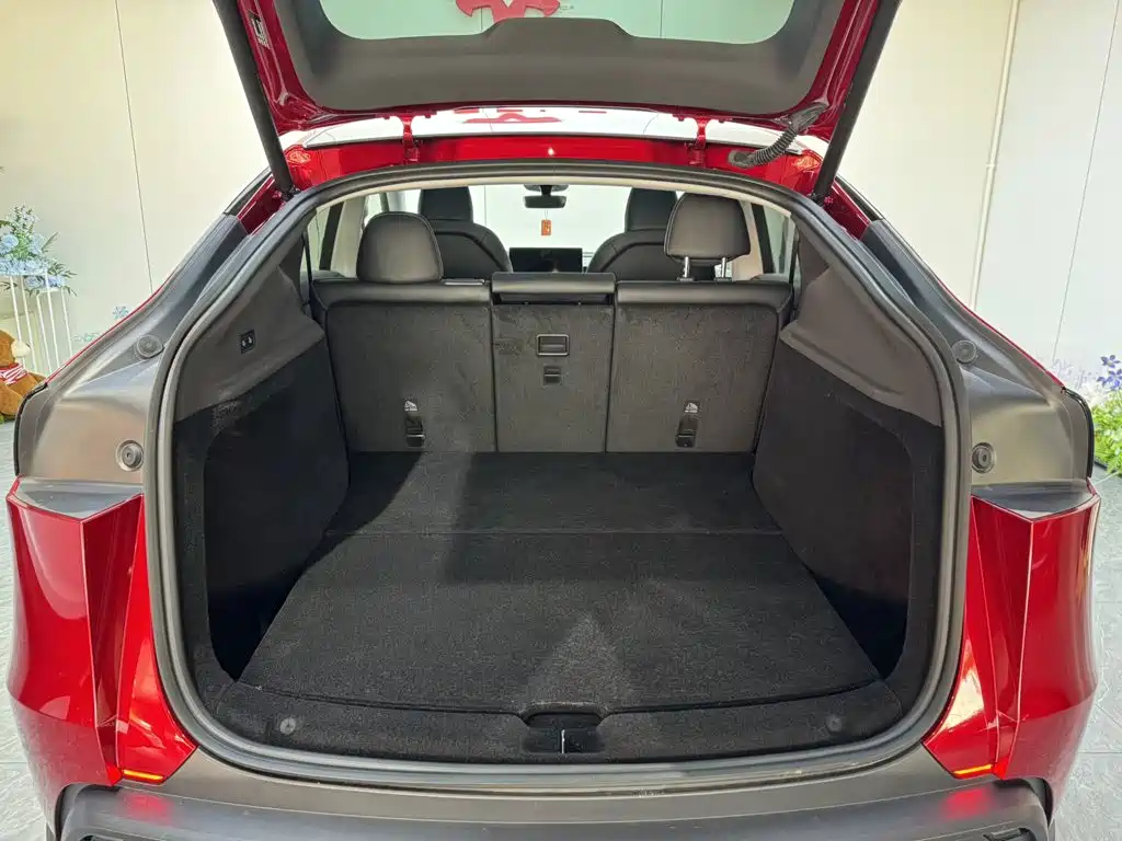 Tesla Model Y — фото 19