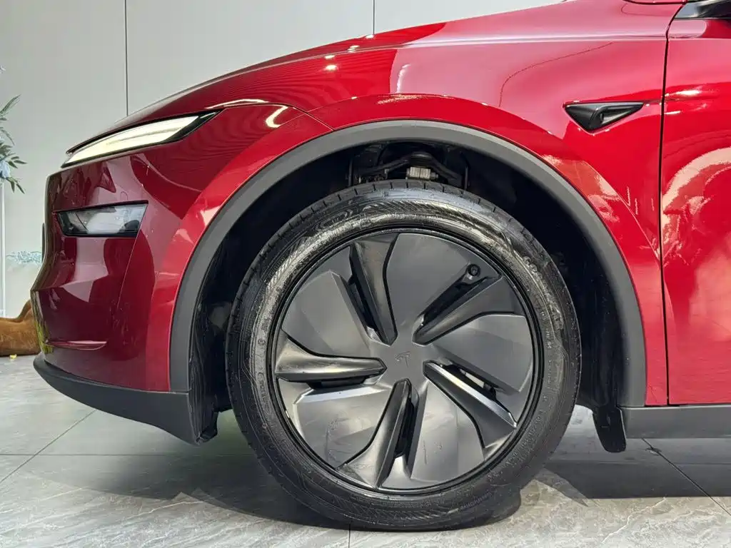 Tesla Model Y — фото 23