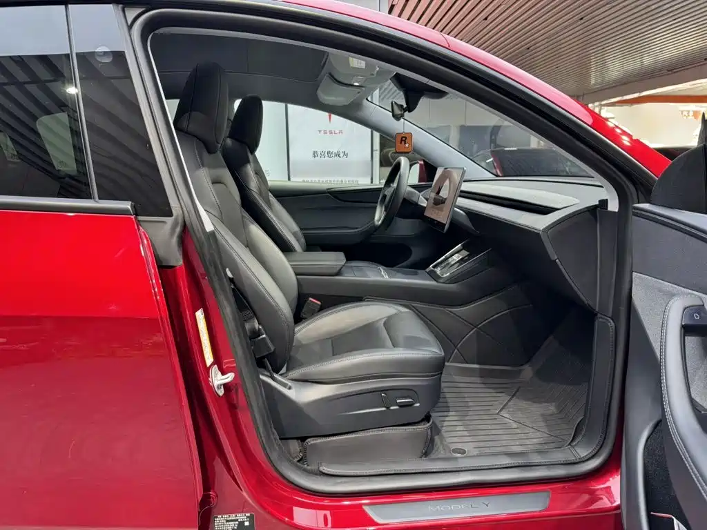 Tesla Model Y — фото 25