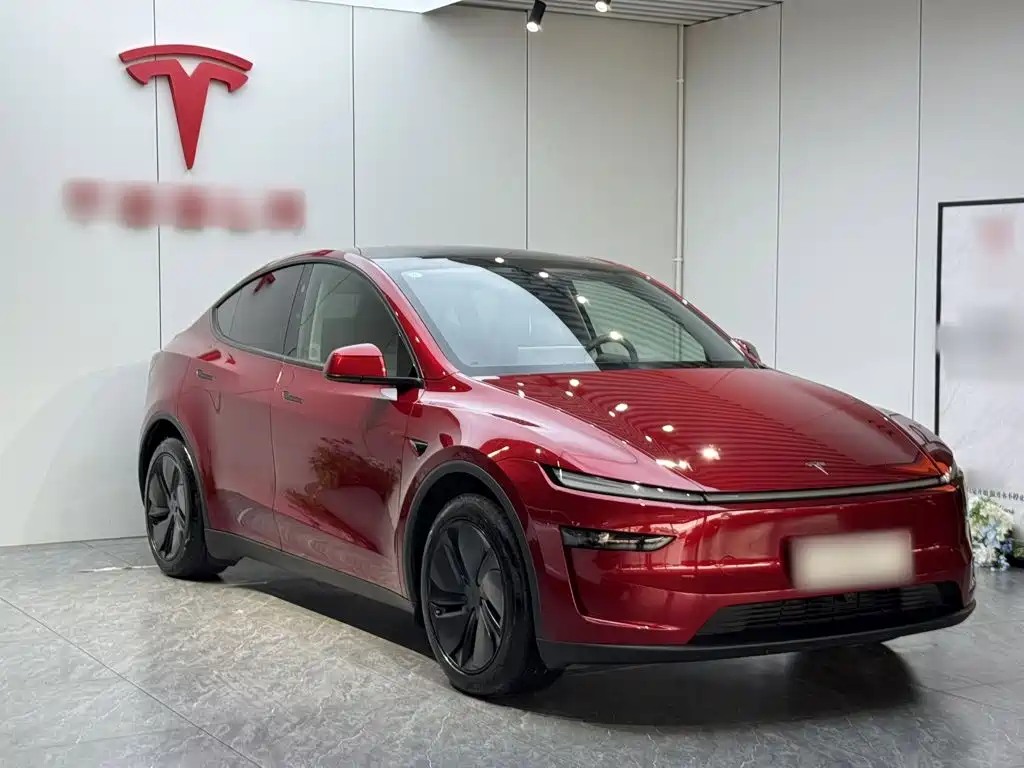 Tesla Model Y — фото 4