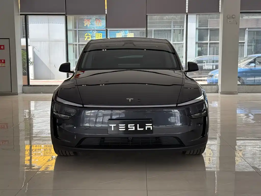 Tesla Model Y — фото 2