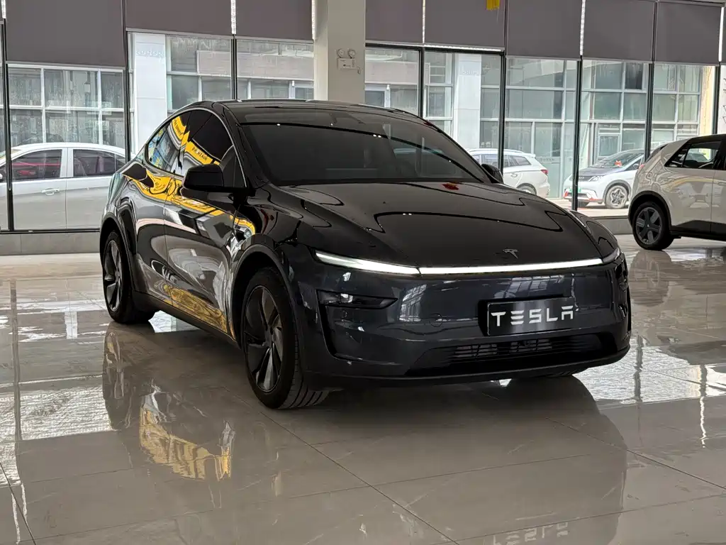 Tesla Model Y — фото 3