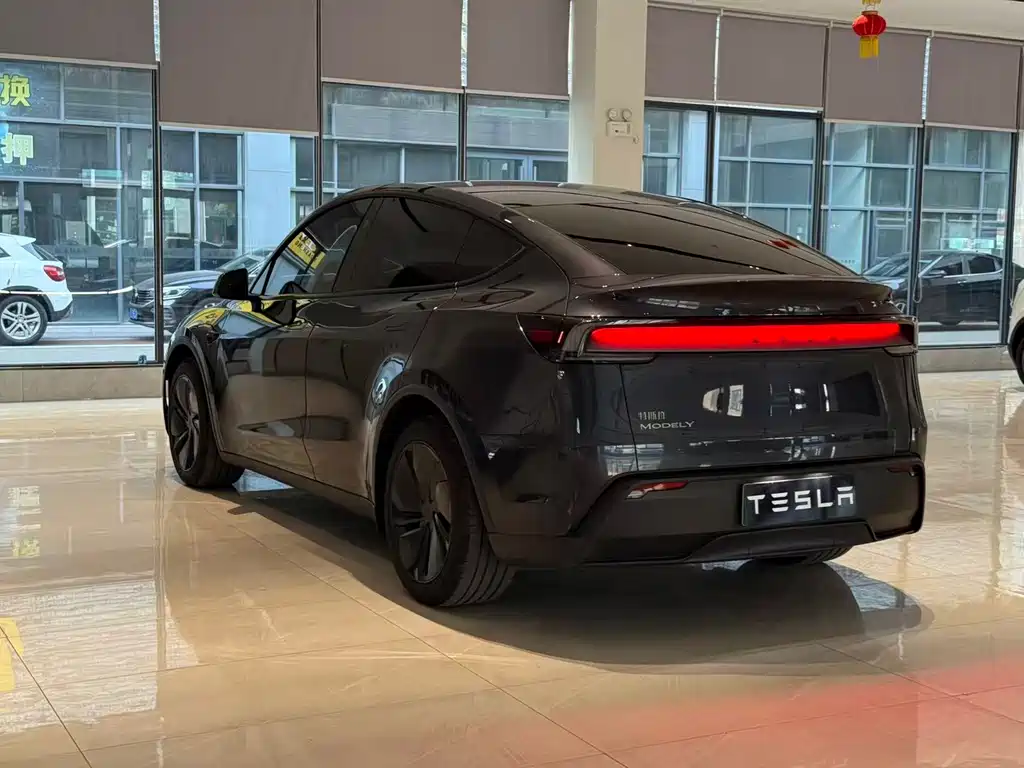 Tesla Model Y — фото 10