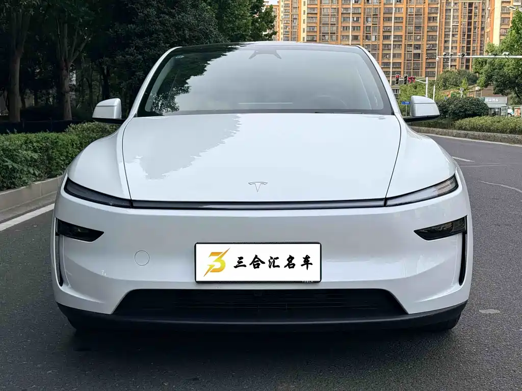Tesla Model Y — фото 2