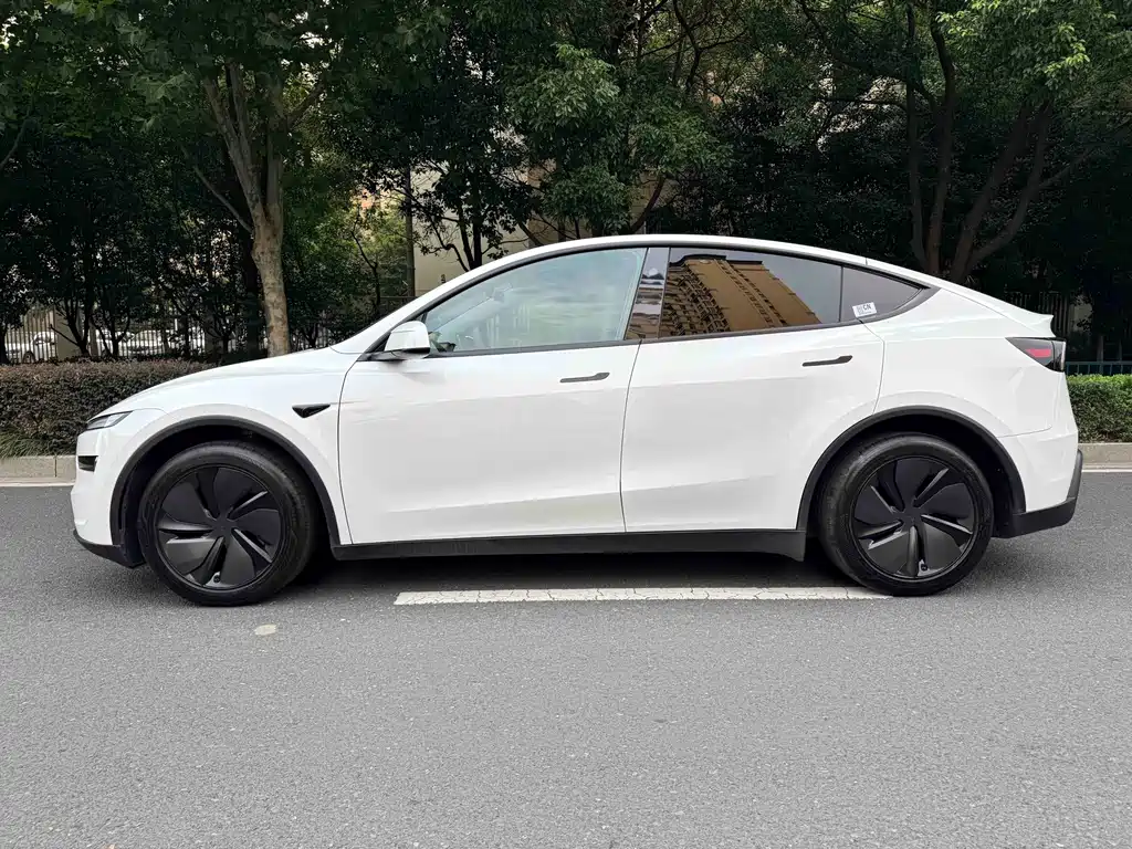 Tesla Model Y — фото 5