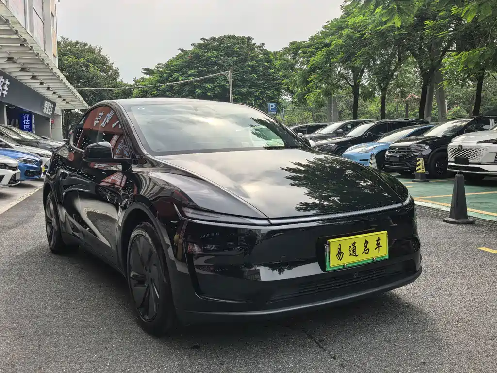 Tesla Model Y — фото 2