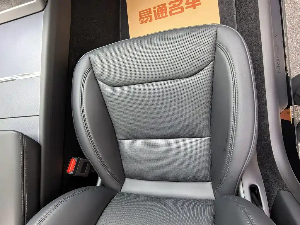 Tesla Model Y — фото 18