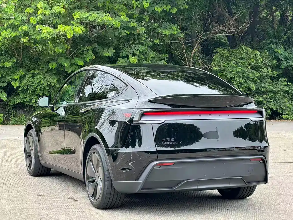 Tesla Model Y — фото 13