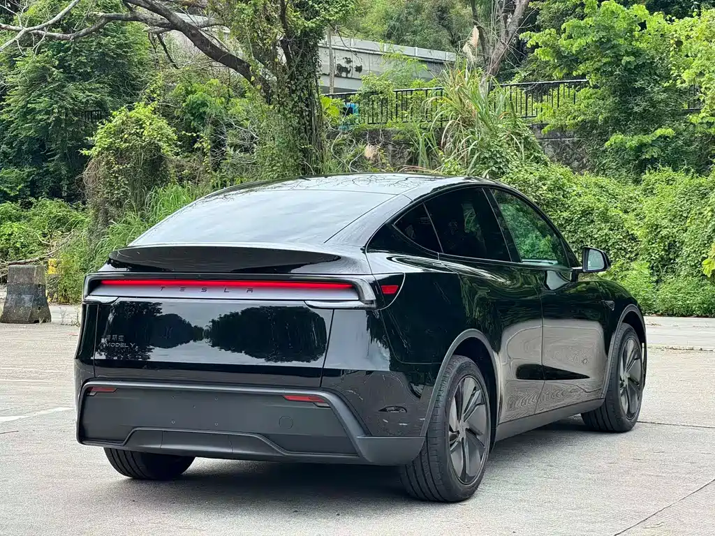 Tesla Model Y — фото 14
