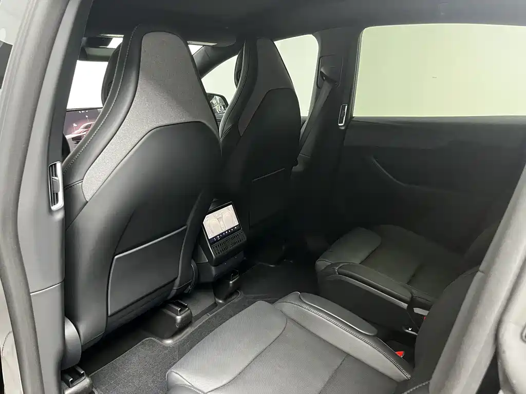 Tesla Model Y L — фото 16