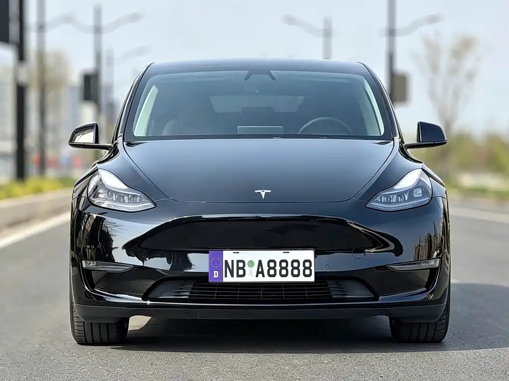 Tesla Model Y — фото 2