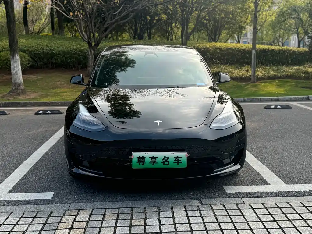 Tesla Model 3 — фото 2