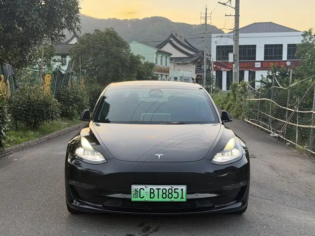 Tesla Model 3 — фото 2