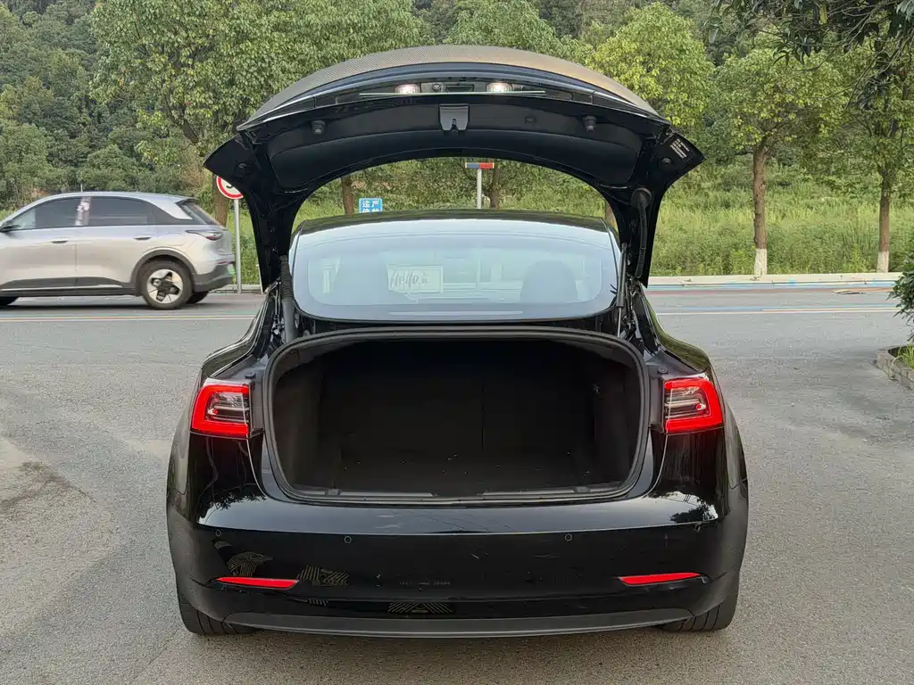Tesla Model 3 — фото 8