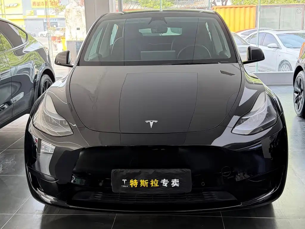 Tesla Model Y — фото 2
