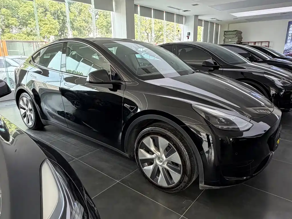 Tesla Model Y — фото 3