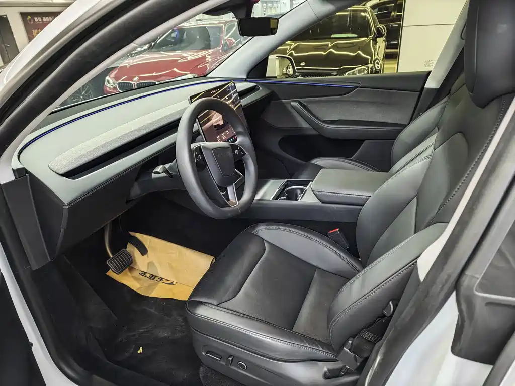Tesla Model Y — фото 10