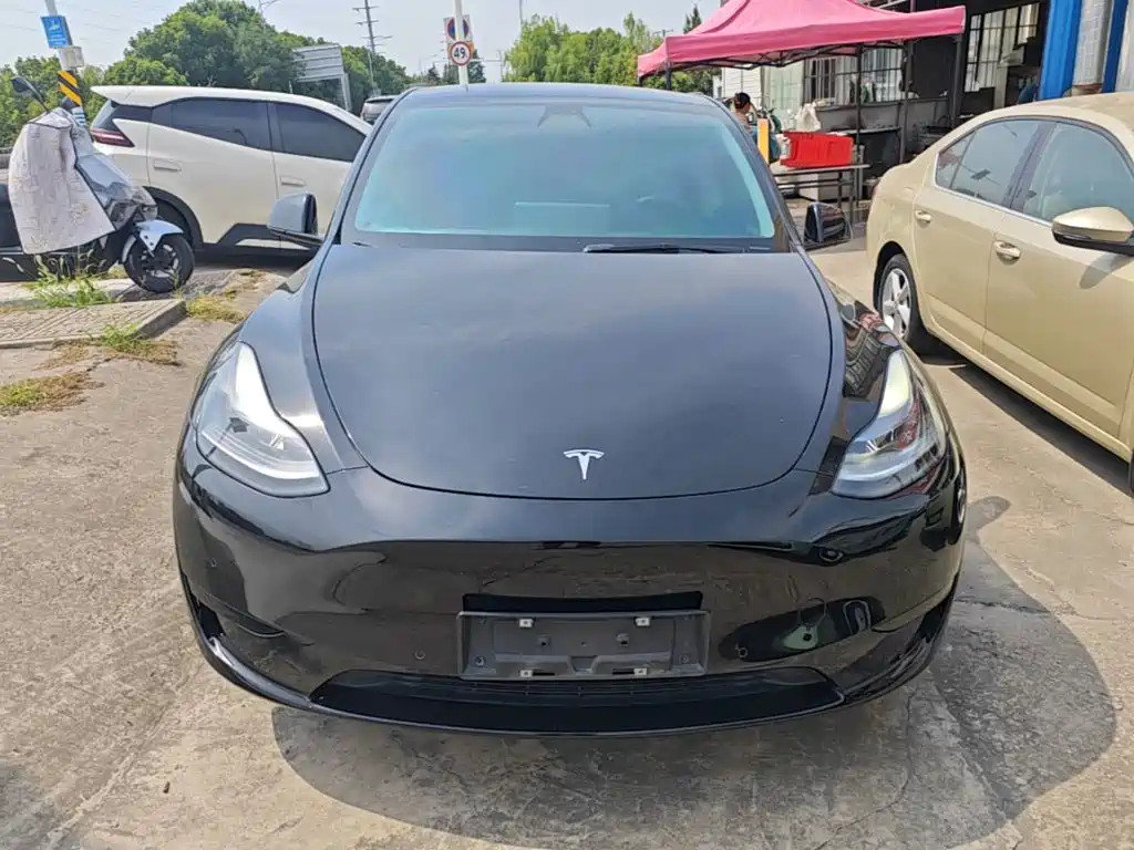 Tesla Model Y — фото 3