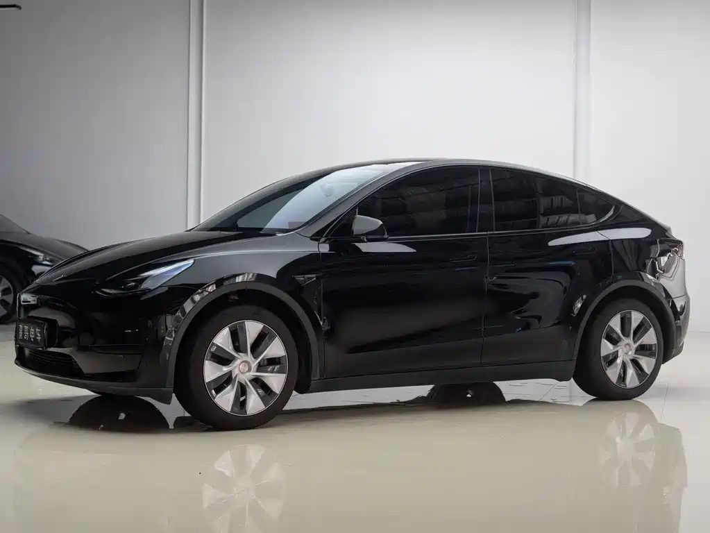 Tesla Model Y — фото 2