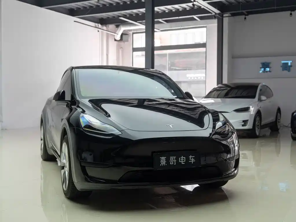 Tesla Model Y — фото 11