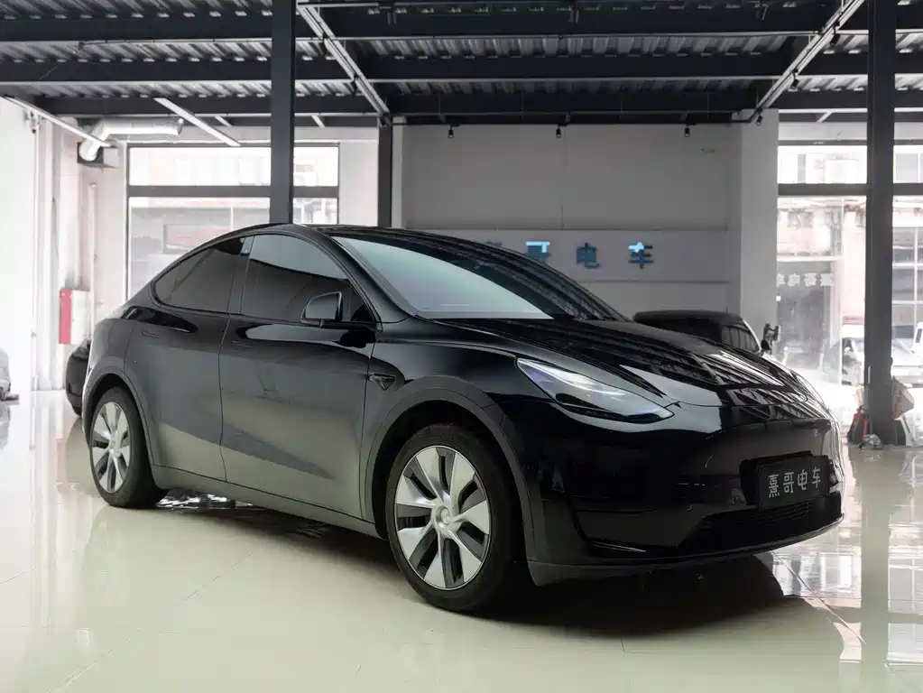 Tesla Model Y — фото 10