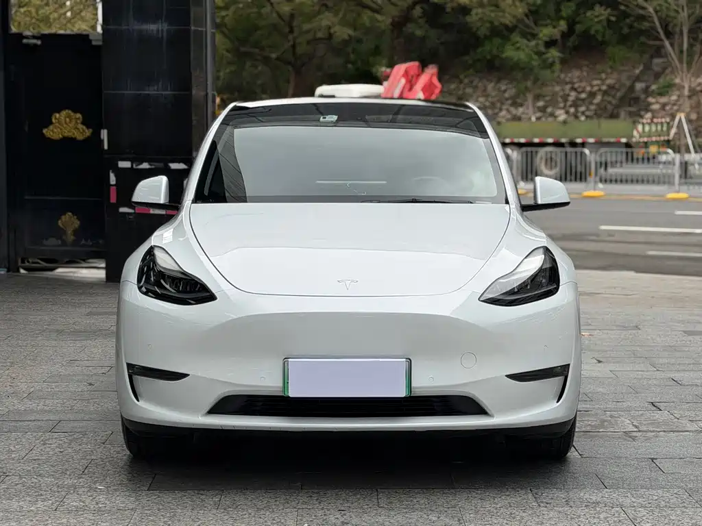 Tesla Model Y — фото 2