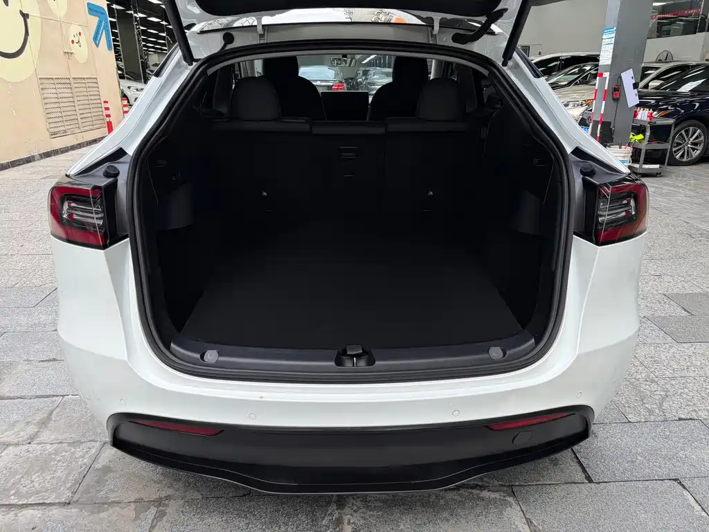 Tesla Model Y — фото 11